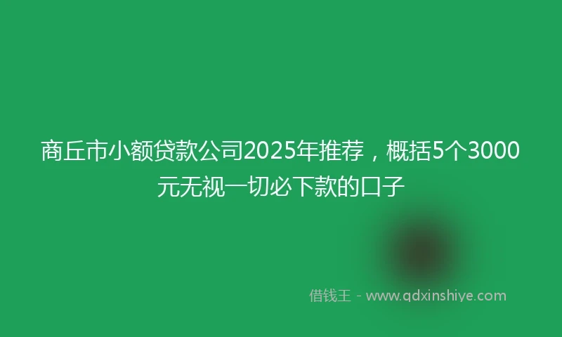 商丘市小额贷款公司2025年推荐，概括5个3000元无视一切必下款的口子