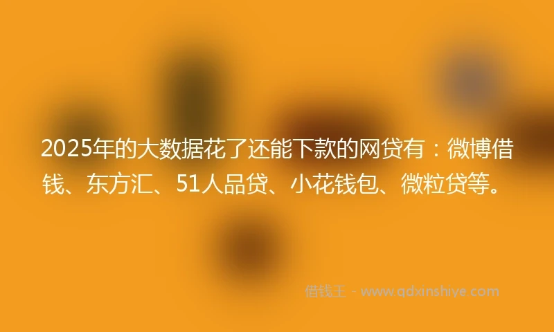 2025年的大数据花了还能下款的网贷有：微博借钱、东方汇、51人品贷、小花钱包、微粒贷等。