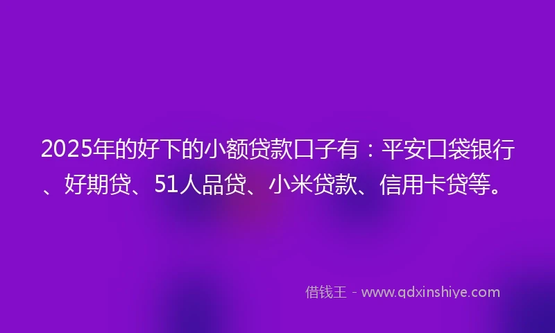 2025年的好下的小额贷款口子有：平安口袋银行、好期贷、51人品贷、小米贷款、信用卡贷等。