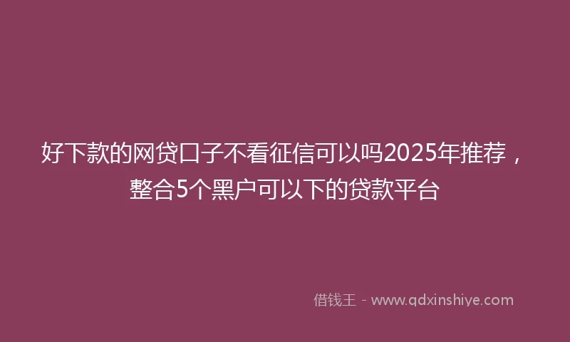 好下款的网贷口子不看征信可以吗2025年推荐，整合5个黑户可以下的贷款平台