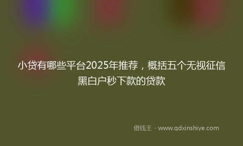 小贷有哪些平台2025年推荐，概括五个无视征信黑白户秒下款的贷款