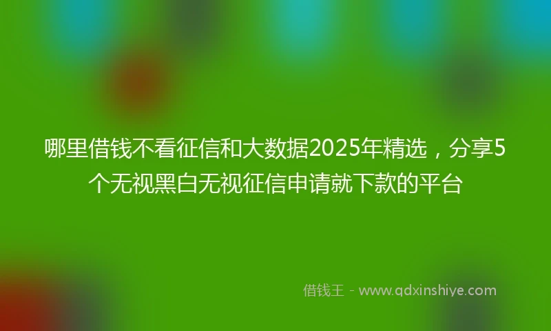 哪里借钱不看征信和大数据2025年精选，分享5个无视黑白无视征信申请就下款的平台