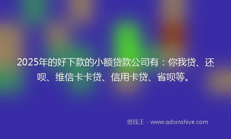 2025年的好下款的小额贷款公司有：你我贷、还呗、维信卡卡贷、信用卡贷、省呗等。