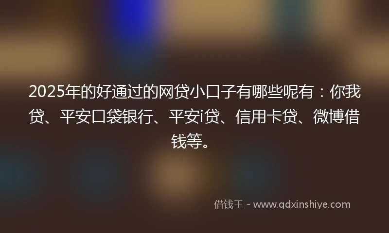 2025年的好通过的网贷小口子有哪些呢有：你我贷、平安口袋银行、平安i贷、信用卡贷、微博借钱等。