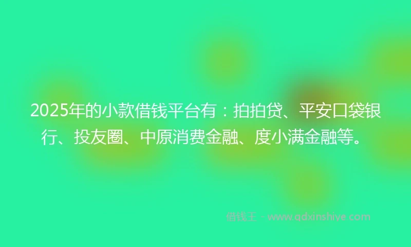 2025年的小款借钱平台有：拍拍贷、平安口袋银行、投友圈、中原消费金融、度小满金融等。