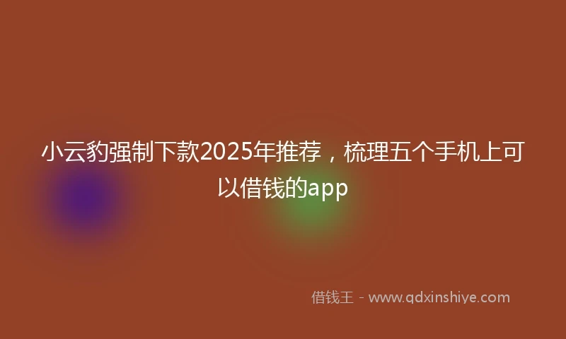 小云豹强制下款2025年推荐，梳理五个手机上可以借钱的app