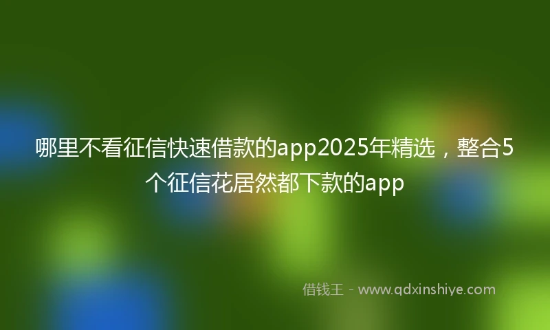 哪里不看征信快速借款的app2025年精选，整合5个征信花居然都下款的app