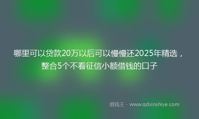 哪里可以贷款20万以后可以慢慢还2025年精选，整合5个不看征信小额借钱的口子