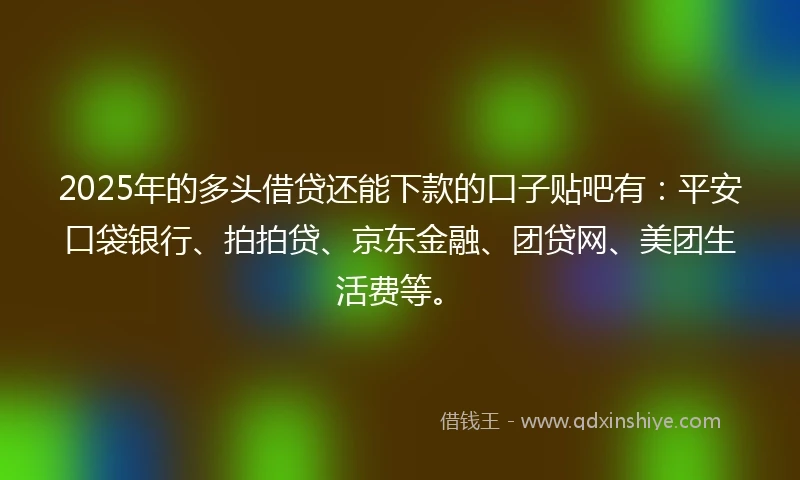 2025年的多头借贷还能下款的口子贴吧有：平安口袋银行、拍拍贷、京东金融、团贷网、美团生活费等。