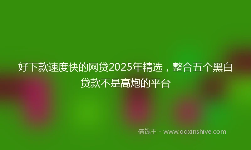 好下款速度快的网贷2025年精选，整合五个黑白贷款不是高炮的平台