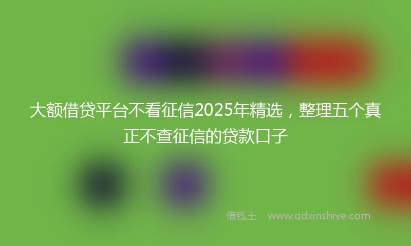 大额借贷平台不看征信2025年精选，整理五个真正不查征信的贷款口子