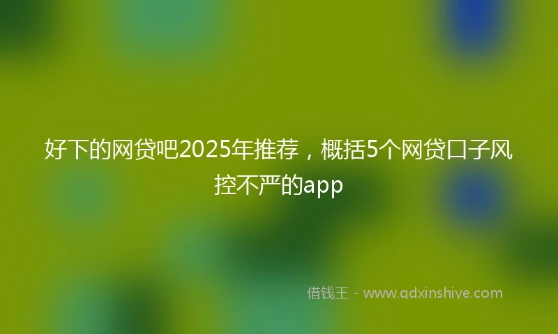 好下的网贷吧2025年推荐，概括5个网贷口子风控不严的app