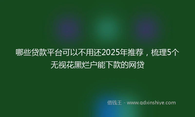 哪些贷款平台可以不用还2025年推荐，梳理5个无视花黑烂户能下款的网贷