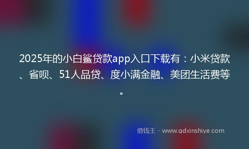 2025年的小白鲨贷款app入口下载有：小米贷款、省呗、51人品贷、度小满金融、美团生活费等。