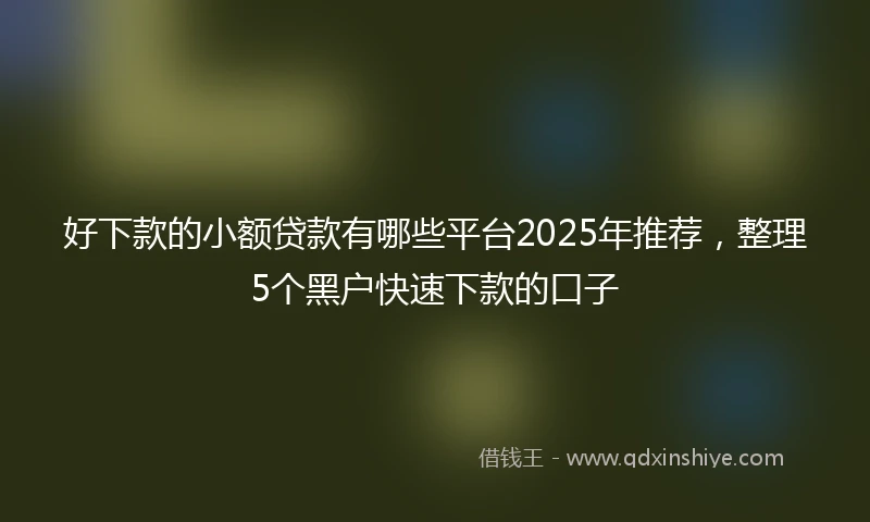 好下款的小额贷款有哪些平台2025年推荐，整理5个黑户快速下款的口子