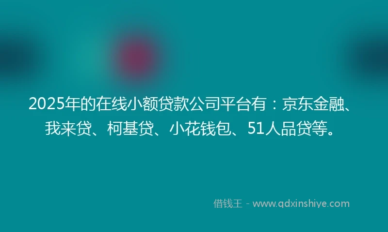 2025年的在线小额贷款公司平台有：京东金融、我来贷、柯基贷、小花钱包、51人品贷等。