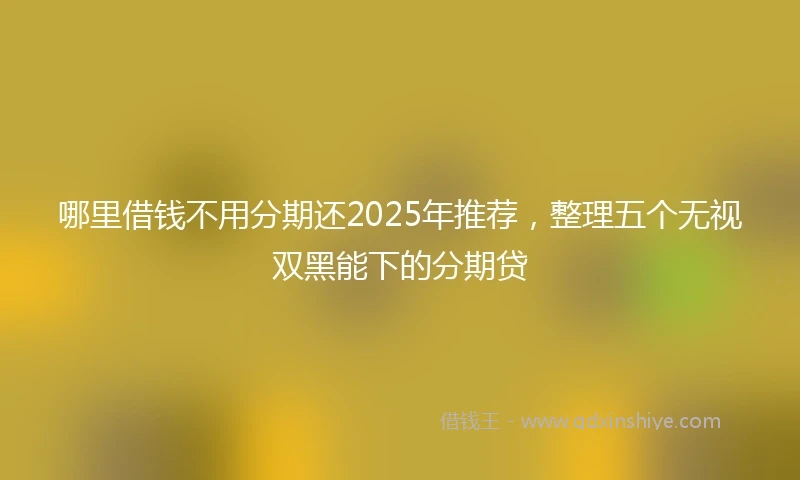 哪里借钱不用分期还2025年推荐，整理五个无视双黑能下的分期贷