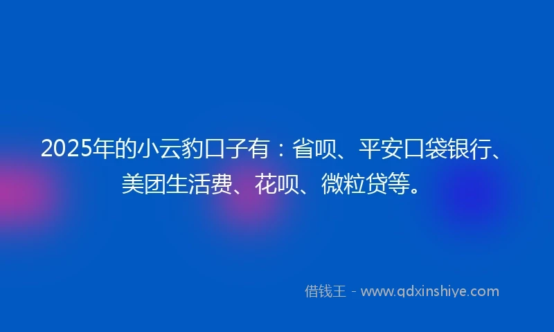2025年的小云豹口子有：省呗、平安口袋银行、美团生活费、花呗、微粒贷等。