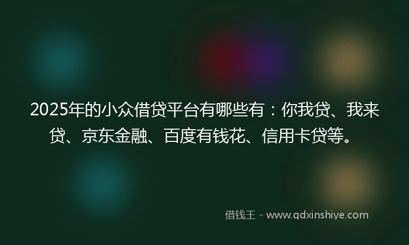 2025年的小众借贷平台有哪些有：你我贷、我来贷、京东金融、百度有钱花、信用卡贷等。