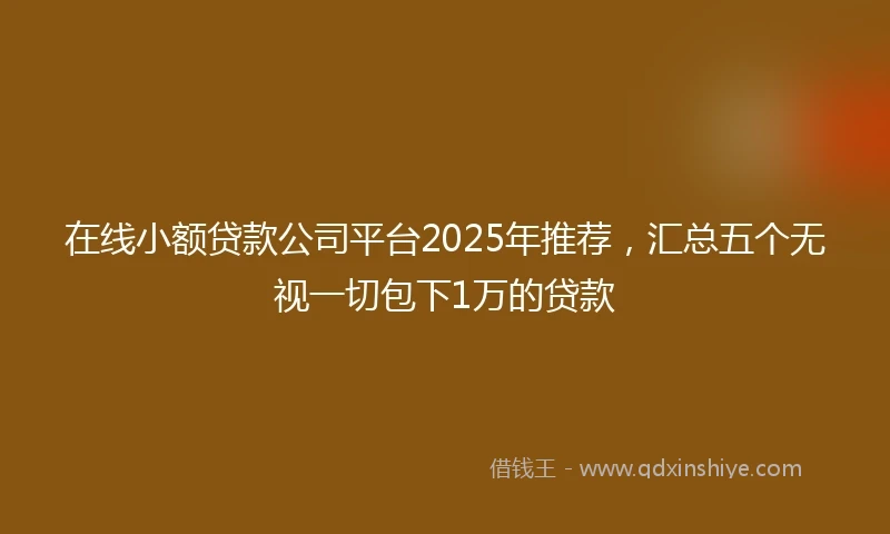 在线小额贷款公司平台2025年推荐，汇总五个无视一切包下1万的贷款