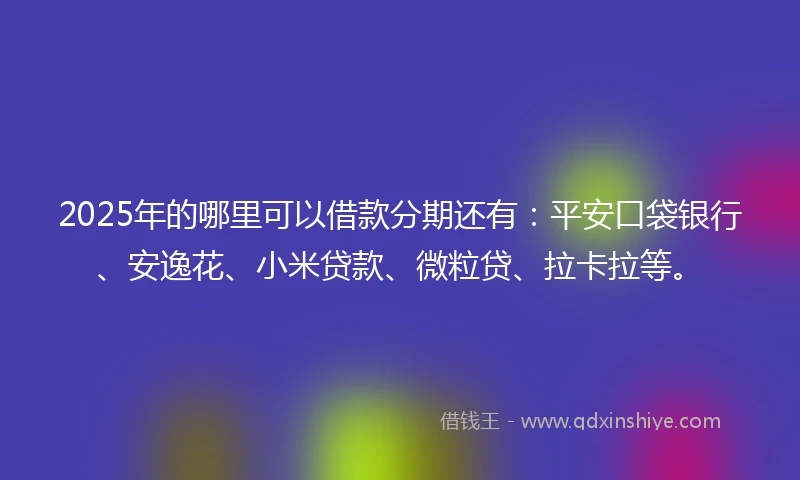 2025年的哪里可以借款分期还有：平安口袋银行、安逸花、小米贷款、微粒贷、拉卡拉等。