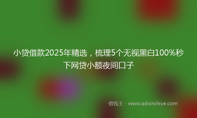 小贷借款2025年精选，梳理5个无视黑白100%秒下网贷小额夜间口子