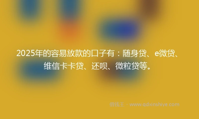 2025年的容易放款的口子有：随身贷、e微贷、维信卡卡贷、还呗、微粒贷等。