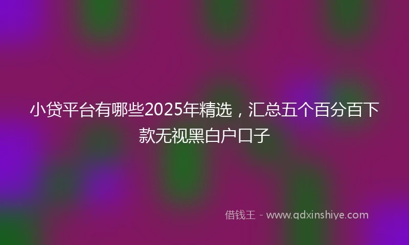 小贷平台有哪些2025年精选，汇总五个百分百下款无视黑白户口子