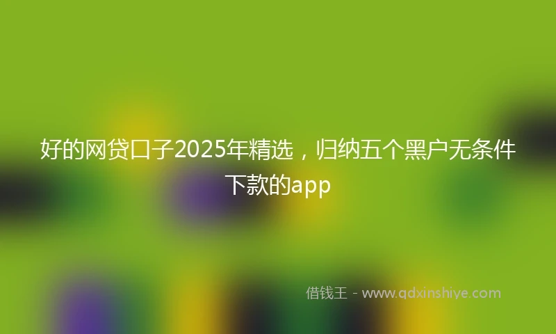 好的网贷口子2025年精选，归纳五个黑户无条件下款的app