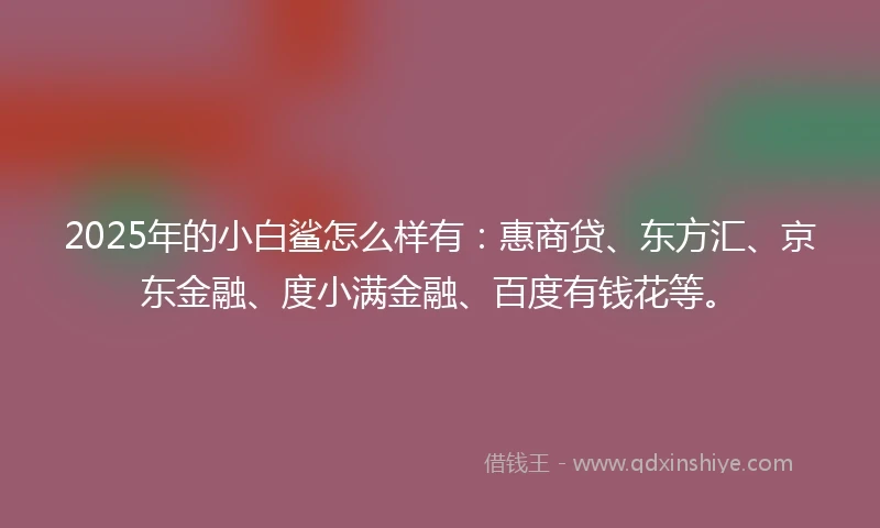 2025年的小白鲨怎么样有：惠商贷、东方汇、京东金融、度小满金融、百度有钱花等。