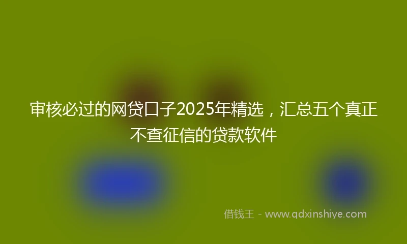 审核必过的网贷口子2025年精选,汇总五个真正不查征信的贷款软件