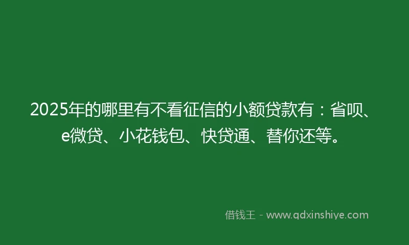 2025年的哪里有不看征信的小额贷款有：省呗、e微贷、小花钱包、快贷通、替你还等。