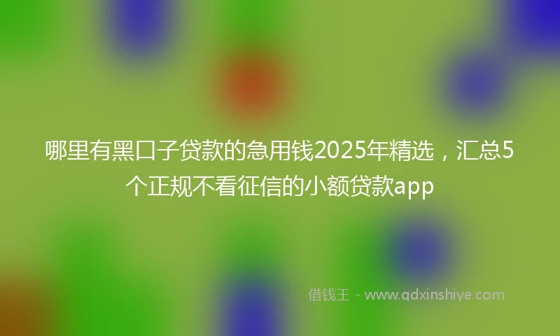 哪里有黑口子贷款的急用钱2025年精选，汇总5个正规不看征信的小额贷款app