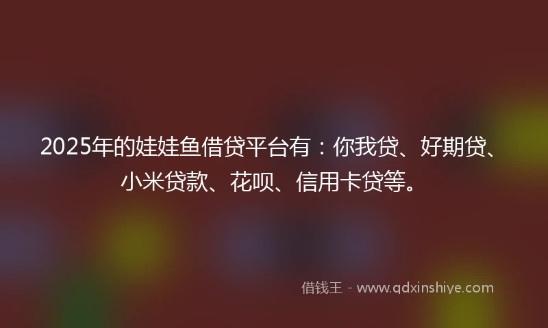 2025年的娃娃鱼借贷平台有：你我贷、好期贷、小米贷款、花呗、信用卡贷等。