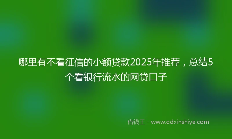 哪里有不看征信的小额贷款2025年推荐，总结5个看银行流水的网贷口子