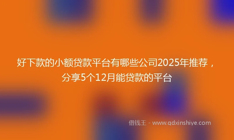 好下款的小额贷款平台有哪些公司2025年推荐，分享5个12月能贷款的平台
