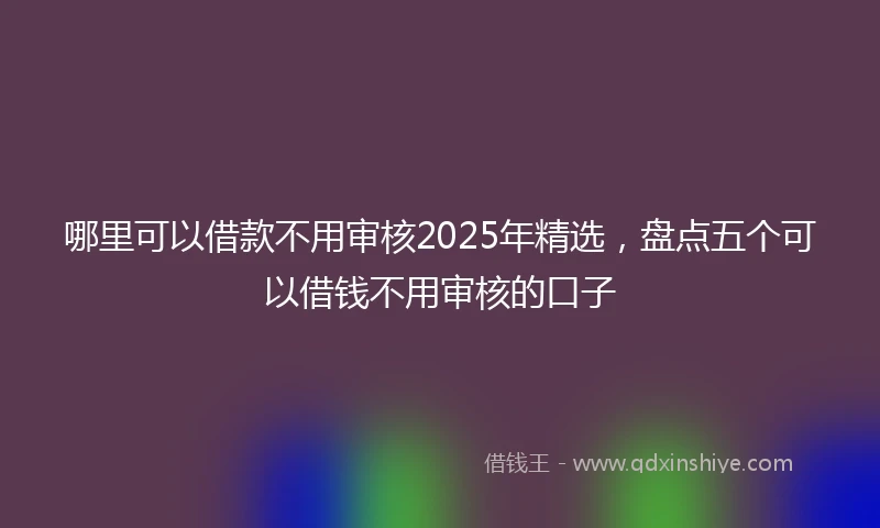 哪里可以借款不用审核2025年精选，盘点五个可以借钱不用审核的口子