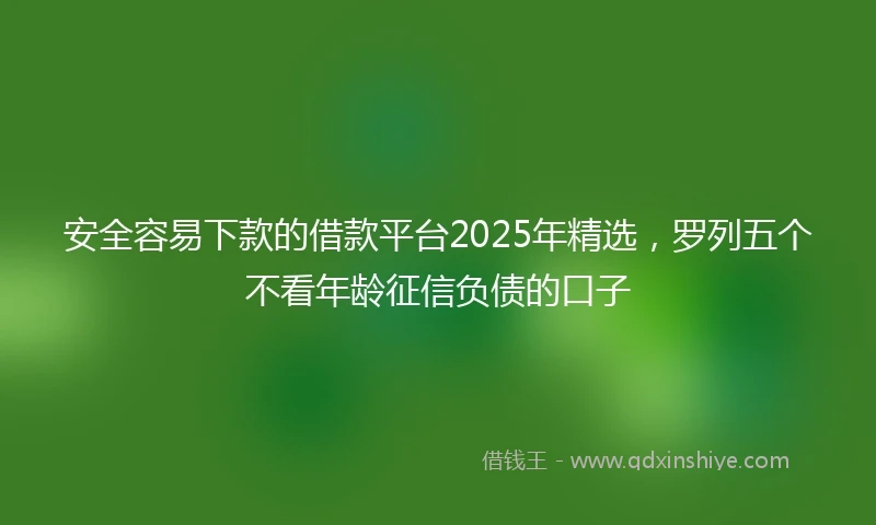 安全容易下款的借款平台2025年精选，罗列五个不看年龄征信负债的口子