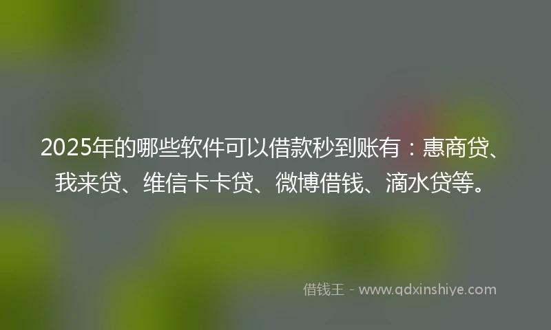 2025年的哪些软件可以借款秒到账有：惠商贷、我来贷、维信卡卡贷、微博借钱、滴水贷等。
