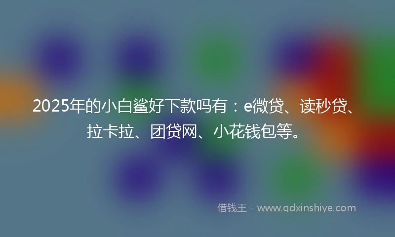 2025年的小白鲨好下款吗有：e微贷、读秒贷、拉卡拉、团贷网、小花钱包等。