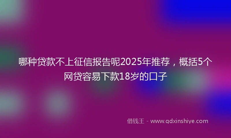 哪种贷款不上征信报告呢2025年推荐，概括5个网贷容易下款18岁的口子