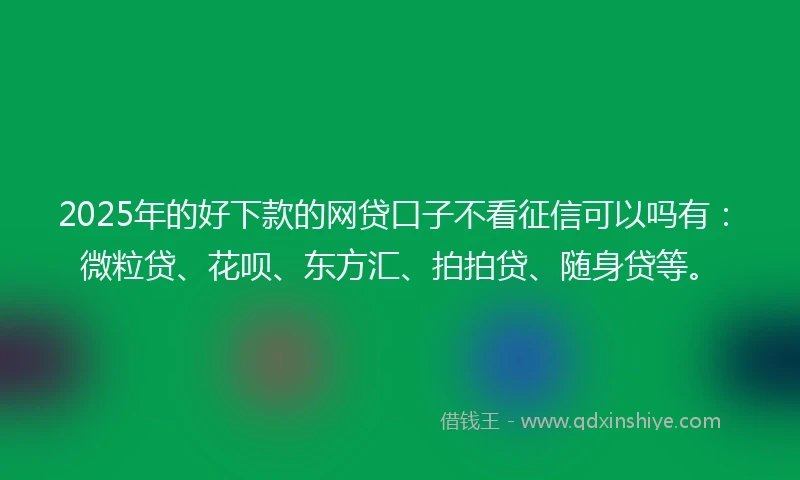 2025年的好下款的网贷口子不看征信可以吗有：微粒贷、花呗、东方汇、拍拍贷、随身贷等。