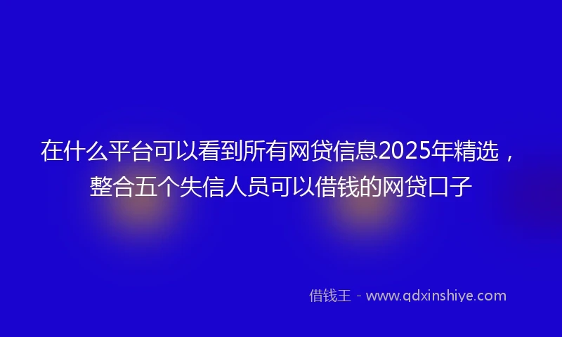在什么平台可以看到所有网贷信息2025年精选，整合五个失信人员可以借钱的网贷口子