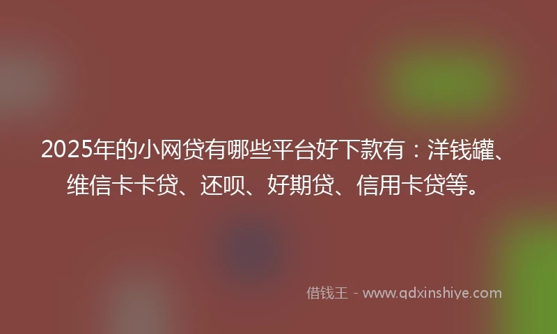 2025年的小网贷有哪些平台好下款有：洋钱罐、维信卡卡贷、还呗、好期贷、信用卡贷等。