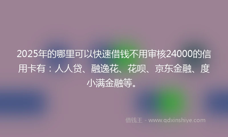 2025年的哪里可以快速借钱不用审核24000的信用卡有：人人贷、融逸花、花呗、京东金融、度小满金融等。