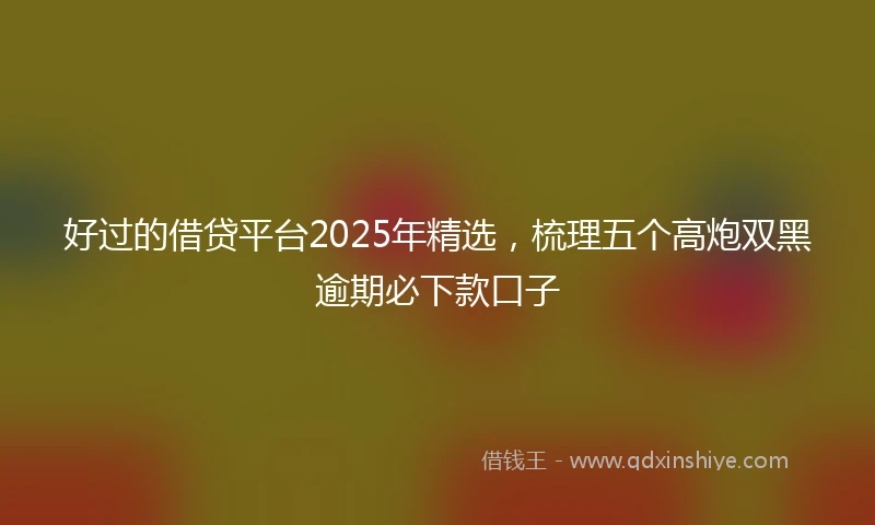 好过的借贷平台2025年精选，梳理五个高炮双黑逾期必下款口子