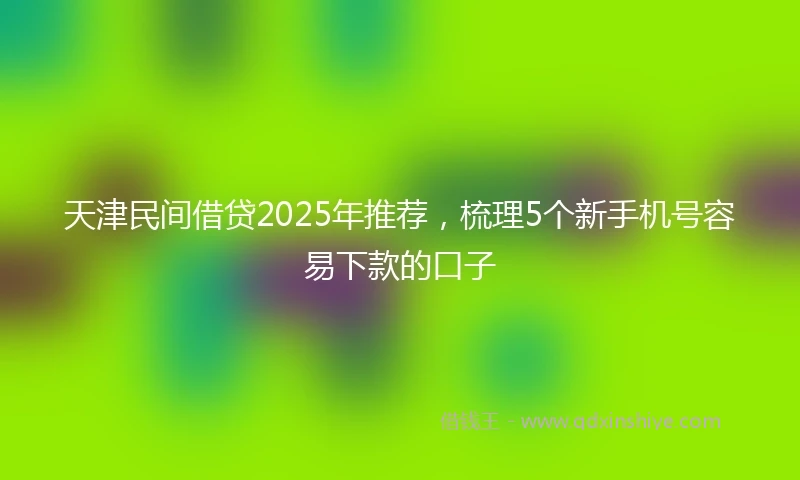 天津民间借贷2025年推荐，梳理5个新手机号容易下款的口子
