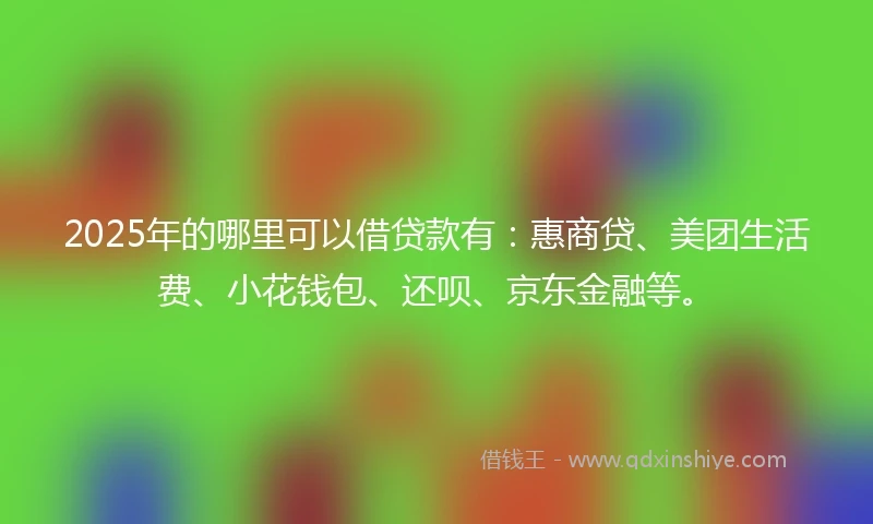 2025年的哪里可以借贷款有：惠商贷、美团生活费、小花钱包、还呗、京东金融等。