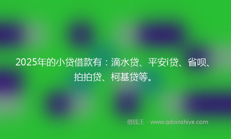 2025年的小贷借款有：滴水贷、平安i贷、省呗、拍拍贷、柯基贷等。