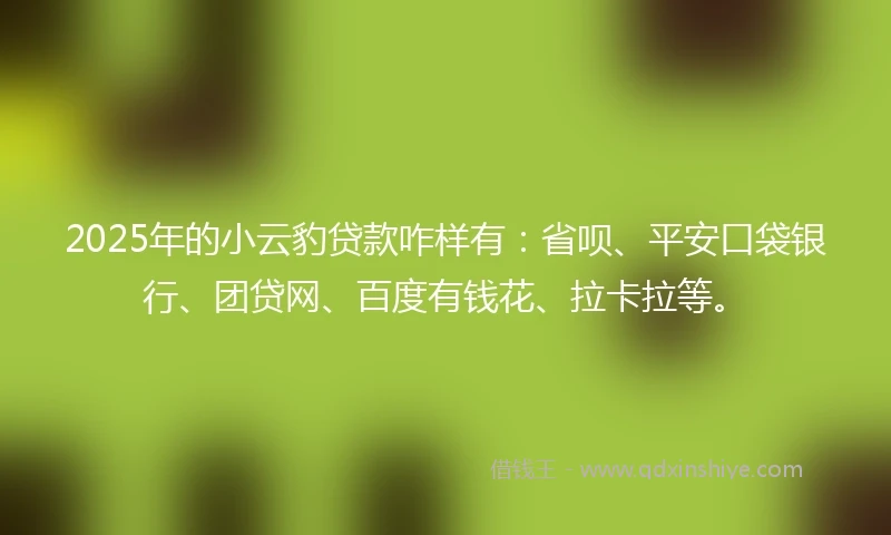 2025年的小云豹贷款咋样有：省呗、平安口袋银行、团贷网、百度有钱花、拉卡拉等。